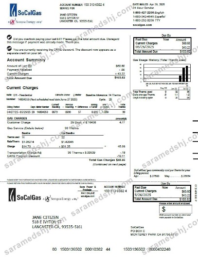 USA So Cal Gas utility bill template in Word and PDF formats, version 3
